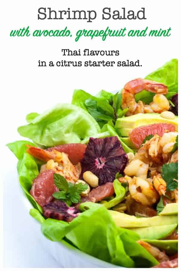 Shrimp Salad with Grapefruit and Mint with blood orange slices
