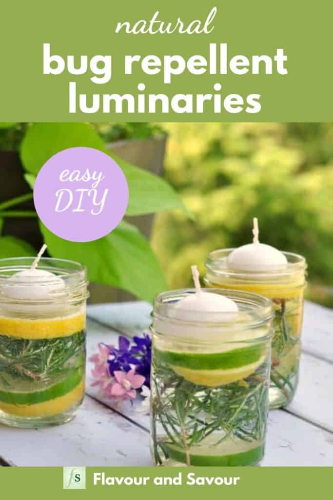 Pinterest Pin for Natural Bug Repellent Luminaries with text