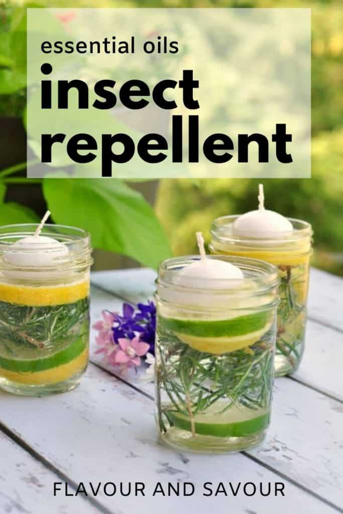 Pinterest Pin for Natural Bug Repellent Luminaries with text overlay