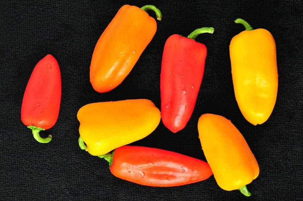 coloured mini peppers on a black backround