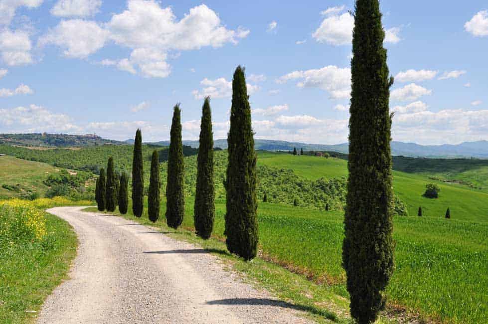 Tips for Driving in Italy from Flavour and Savour
