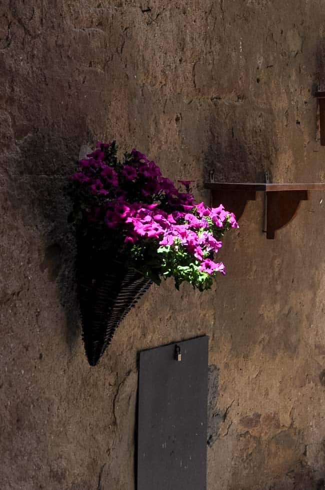 Traveling in the Heart of Tuscany. Street-side purple flowers. |www.flavourandsavour.com