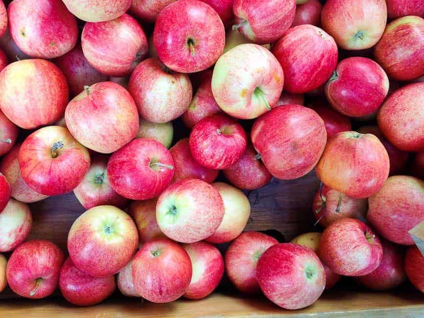 apples in a bin