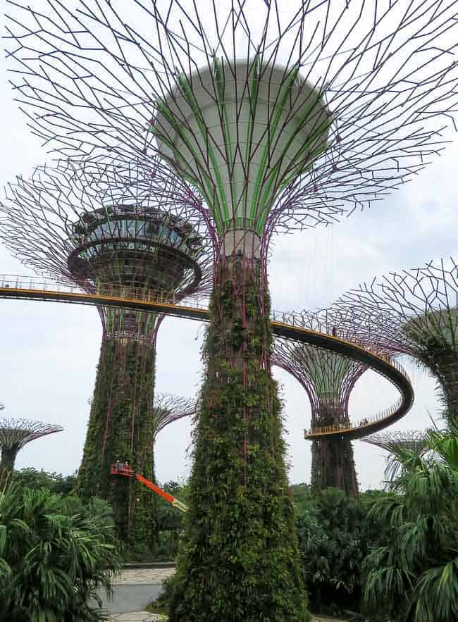 Two Days in Singapore: Must-See Activiites. Solar-powered supertrees in the Gardens by the Bay.