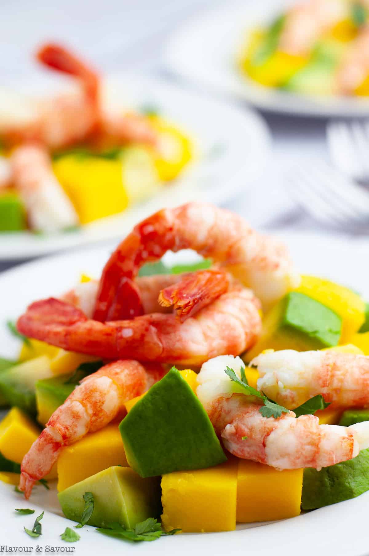 Prawn Mango Avocado Salad with prawn tails