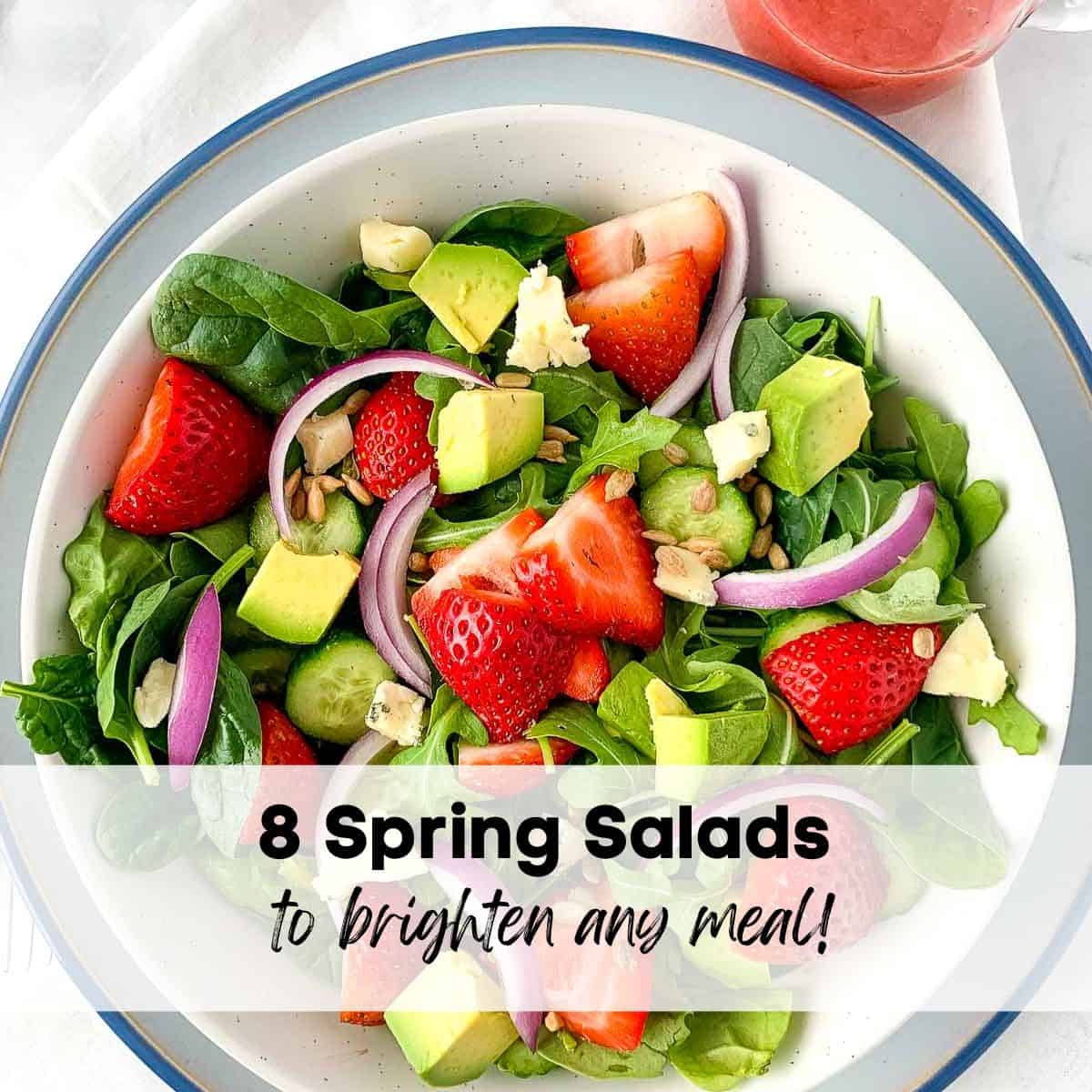 Fresh Spring Salads Flavour and Savour