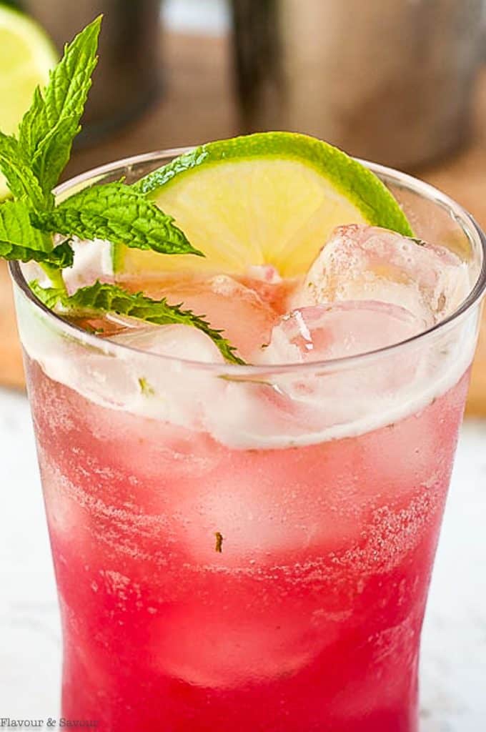 close up view of a glass of Rhubarb Mint Mojito