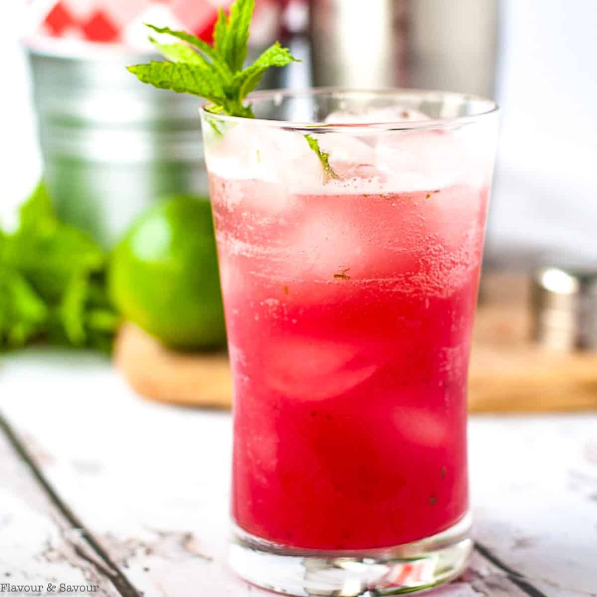 Rhubarb Mint Mojito - Flavour & Savour