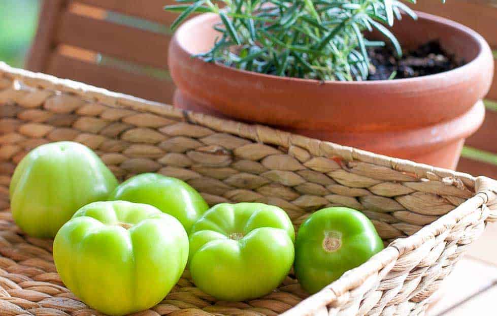 Fresh Tomatillos for Tomatillo Guacamole and Shrimp Tacos