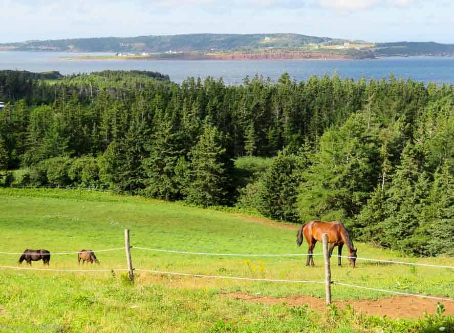 One week in Nova Scotia: things to see, do and eat!