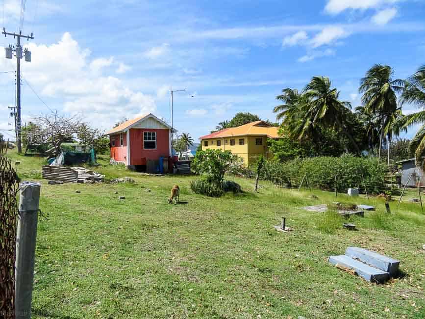 Petite Martinique neighbourhood