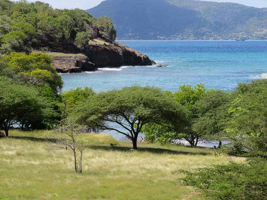 Sea Views Petite Martinique