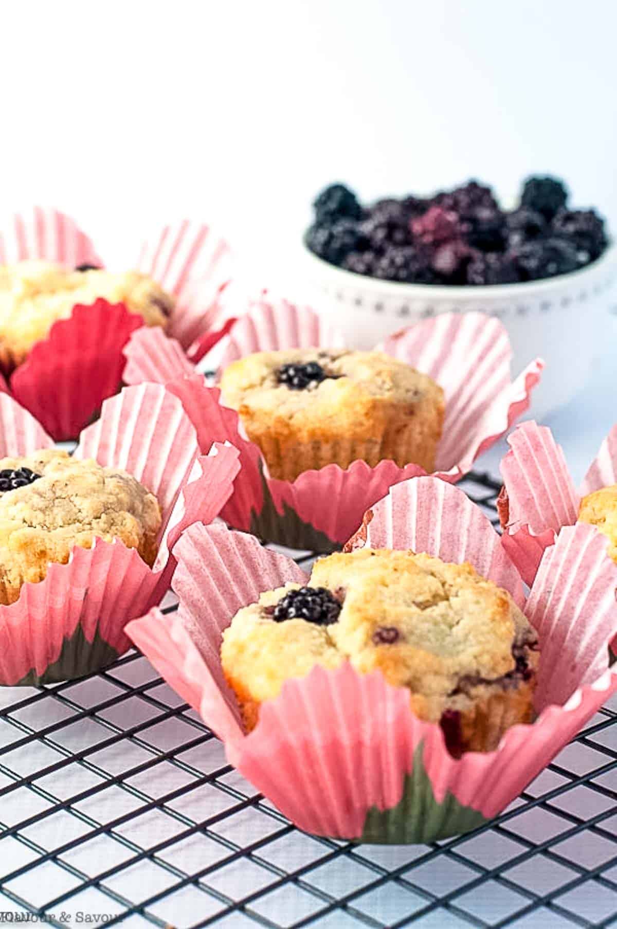 Keto Blackberry Muffins in pink muffin liners.