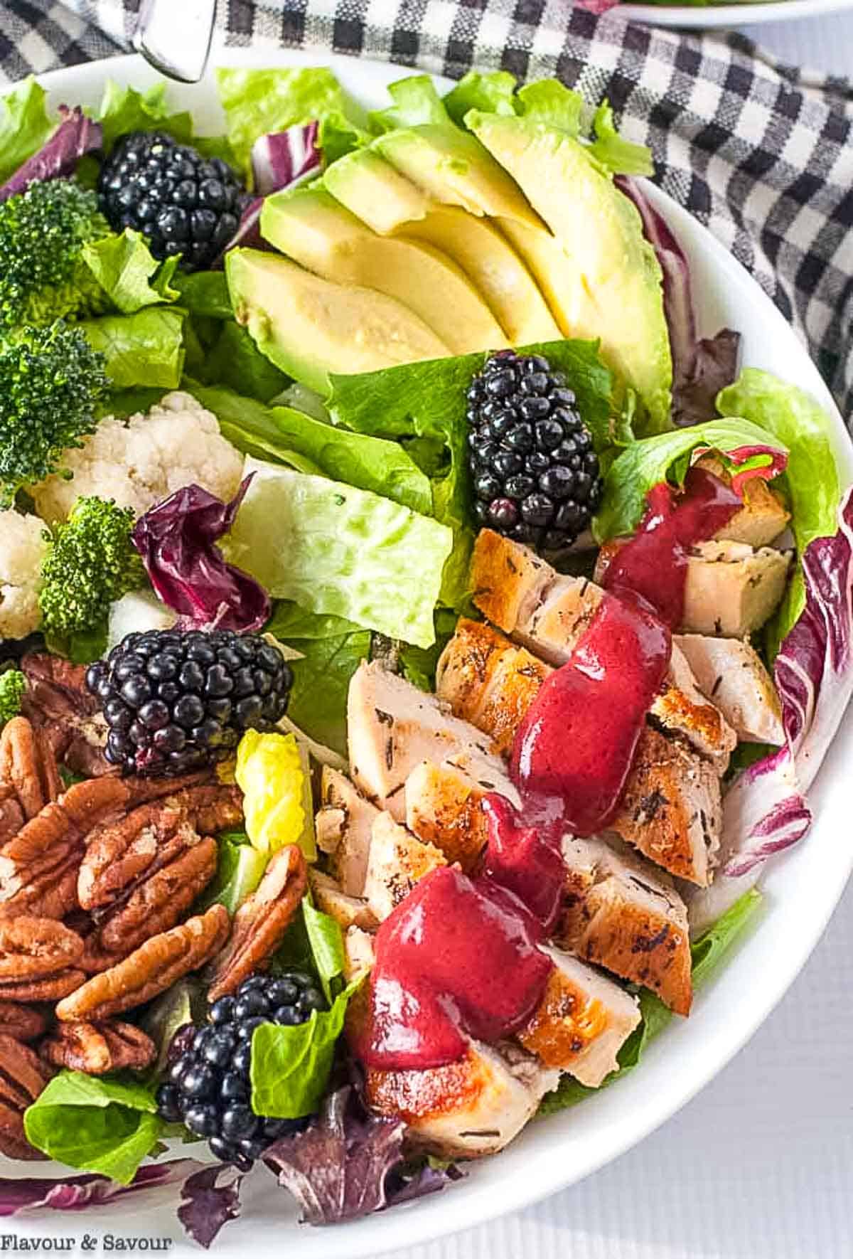 Close up view of a bowl of blackberry balsamic grilled chicken salad.
