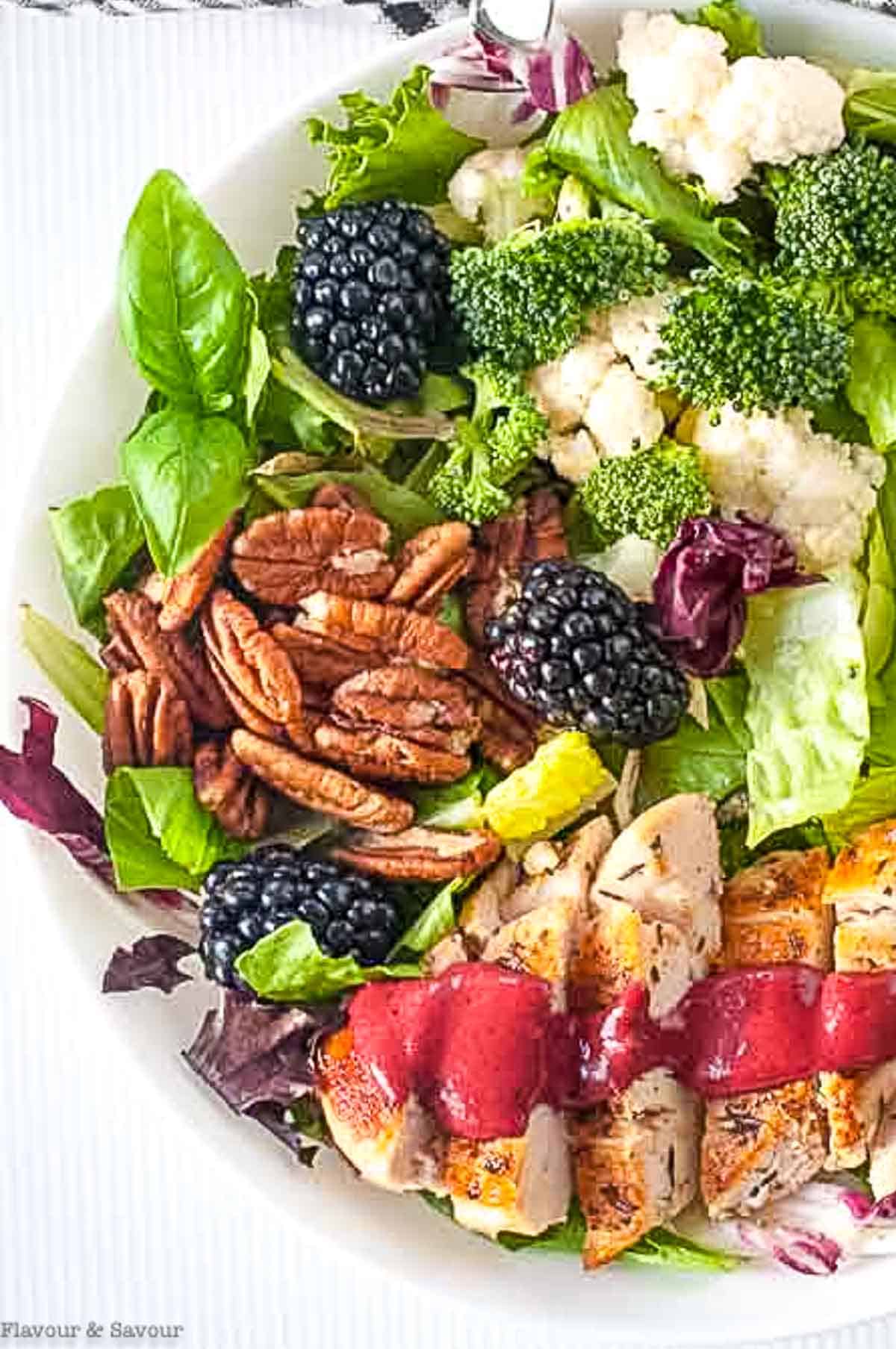 Blackberry Balsamic Chicken Salad with pecans and fresh blackberries.