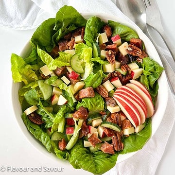 Overhead view of a bowl of salad with smoked salmon, apples, cheese and pecans.