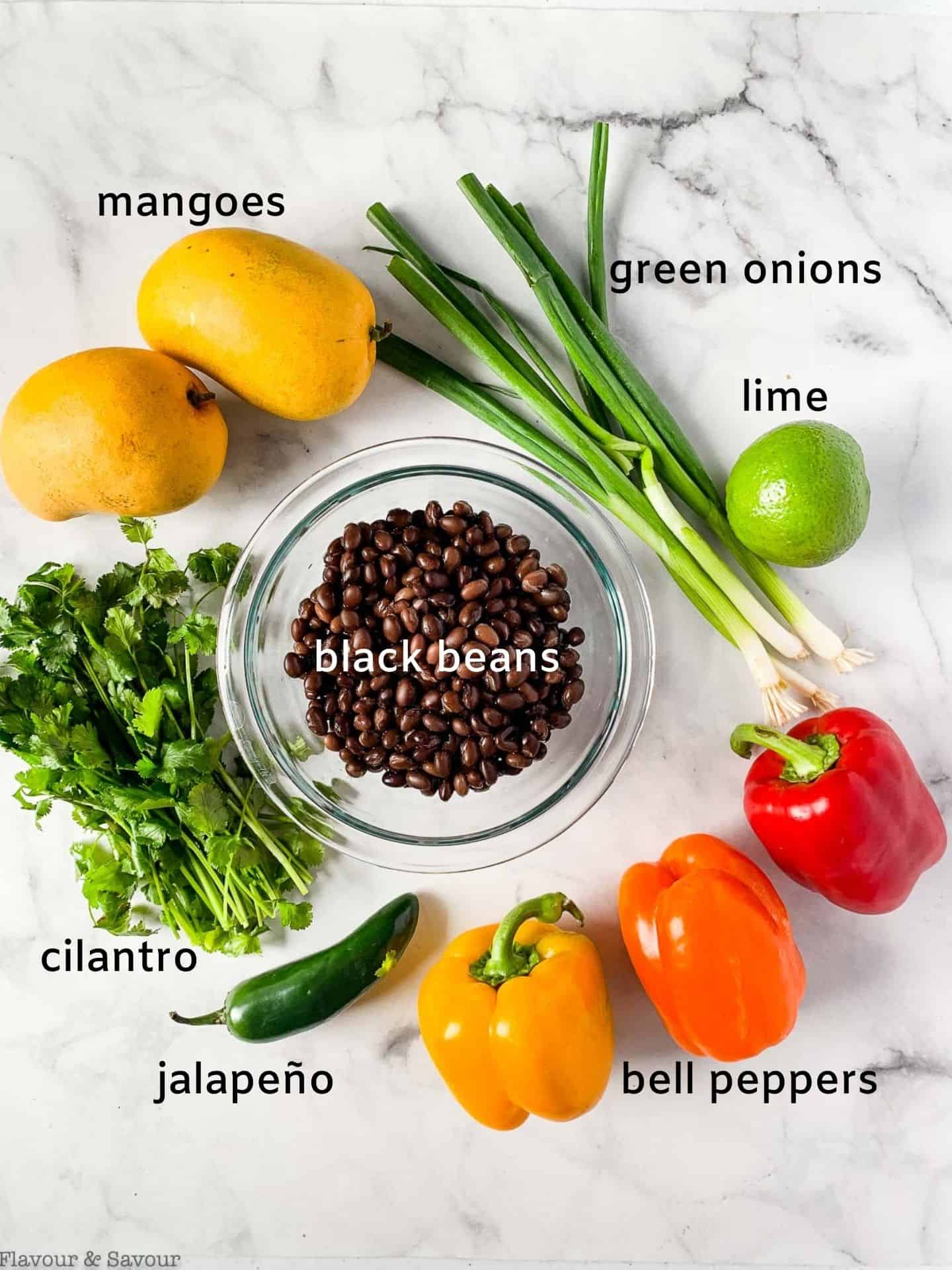Labeled ingredients mango black bean salad