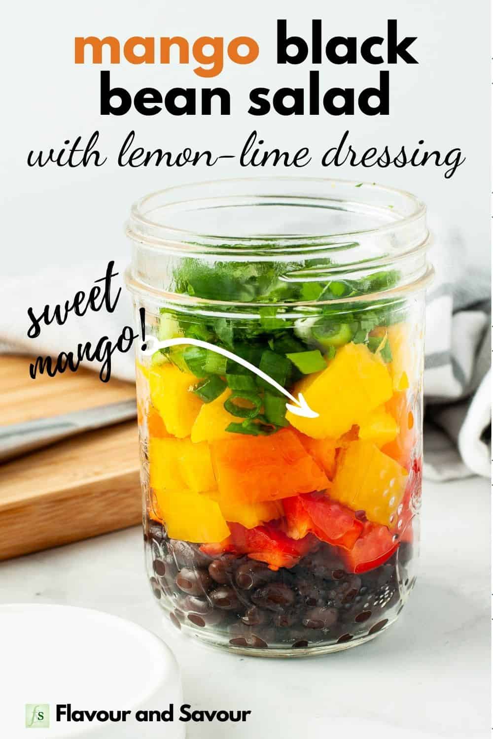 Mango Black Bean Salad with Lemon Lime VinaigretteFlavour and Savour