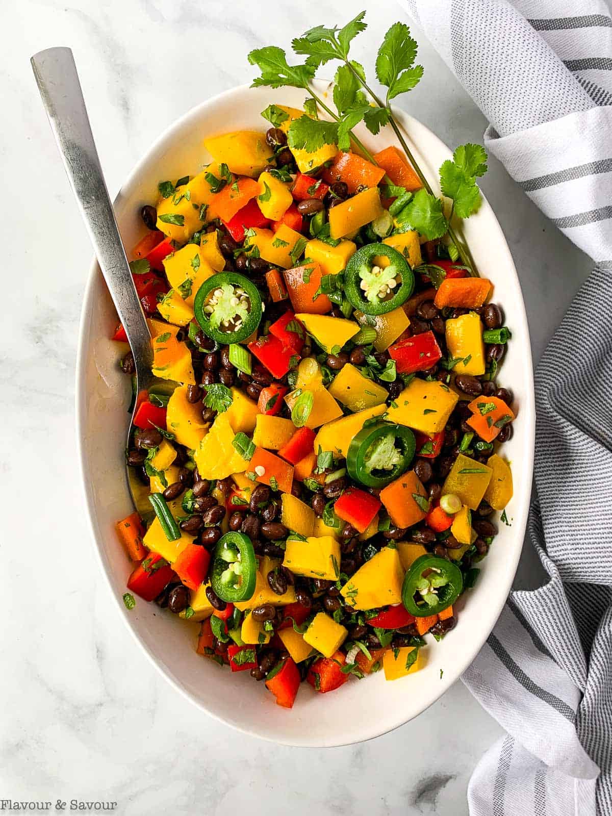 Mango Black Bean Salad with Lemon Lime Vinaigrette-Flavour and Savour