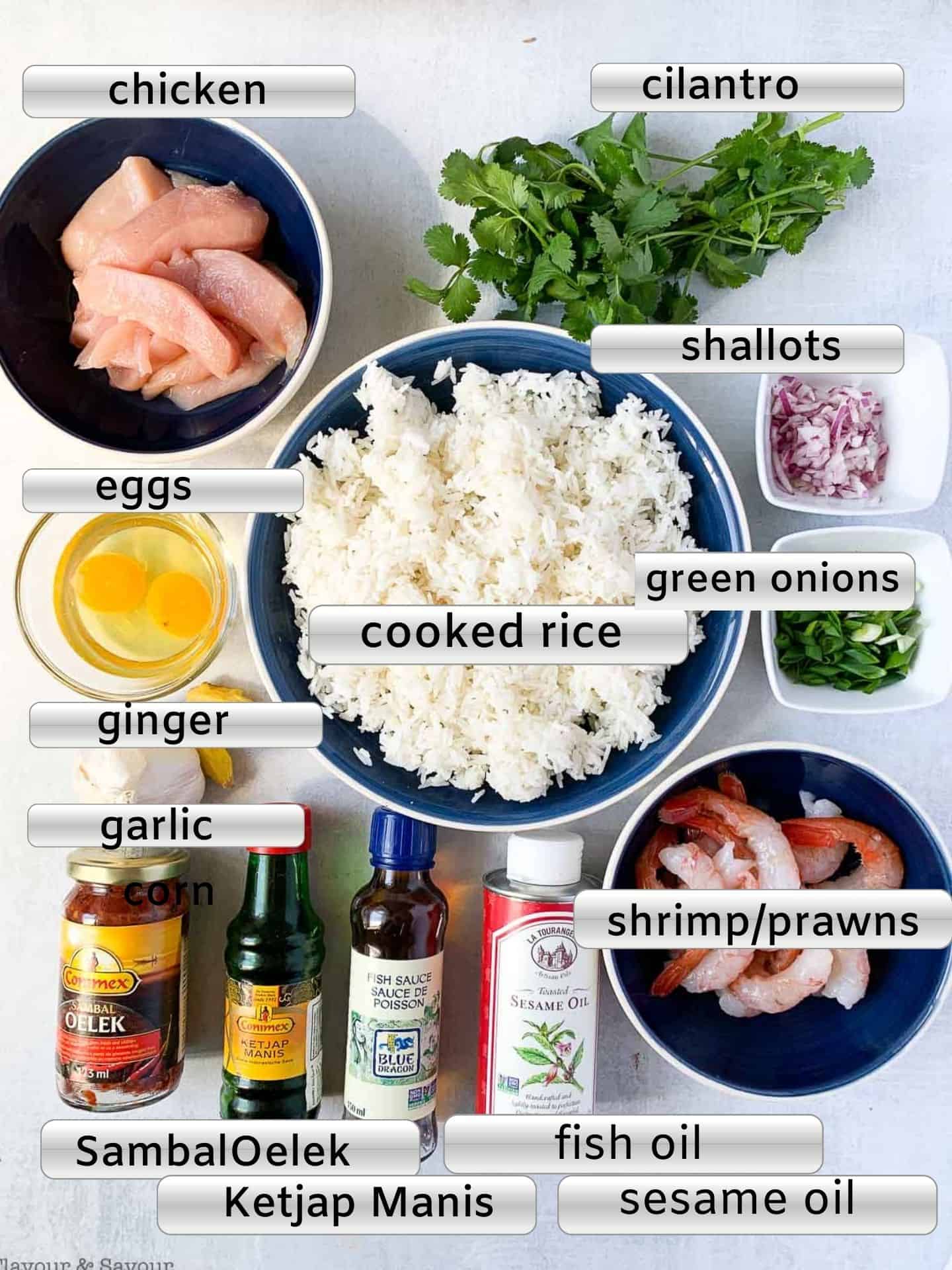 Ingredients with labels for Indonesian Fried Rice, Nasi Goreng