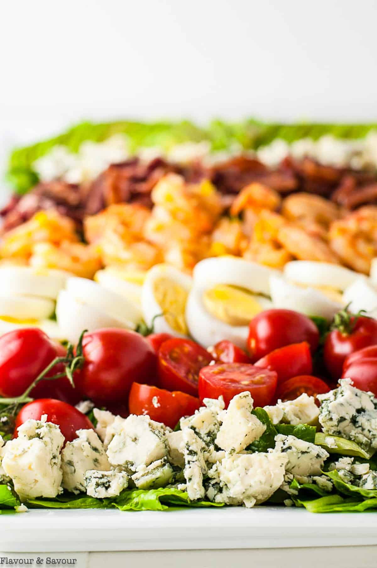 Close up view of the rows of ingredients for Shrimp Cobb Salad