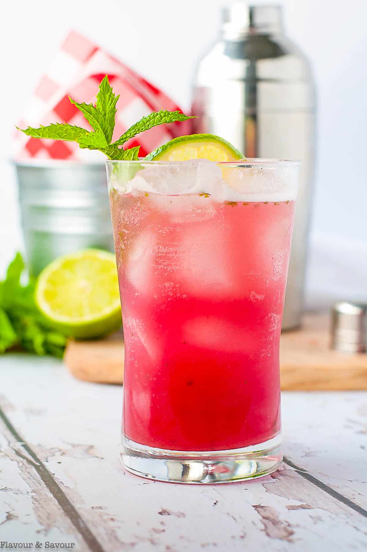 Rhubarb Mint Mojito in a tall glass garnished with mint and lime.