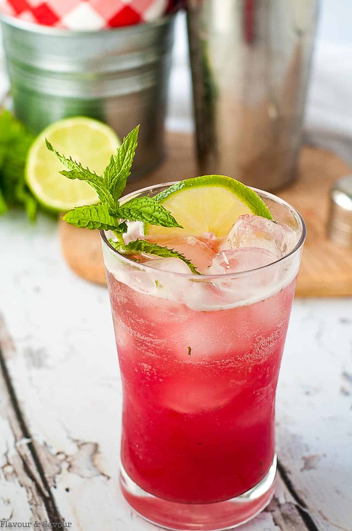 A glass of Rhubarb Mint Mojito with a cocktail shaker in the background.