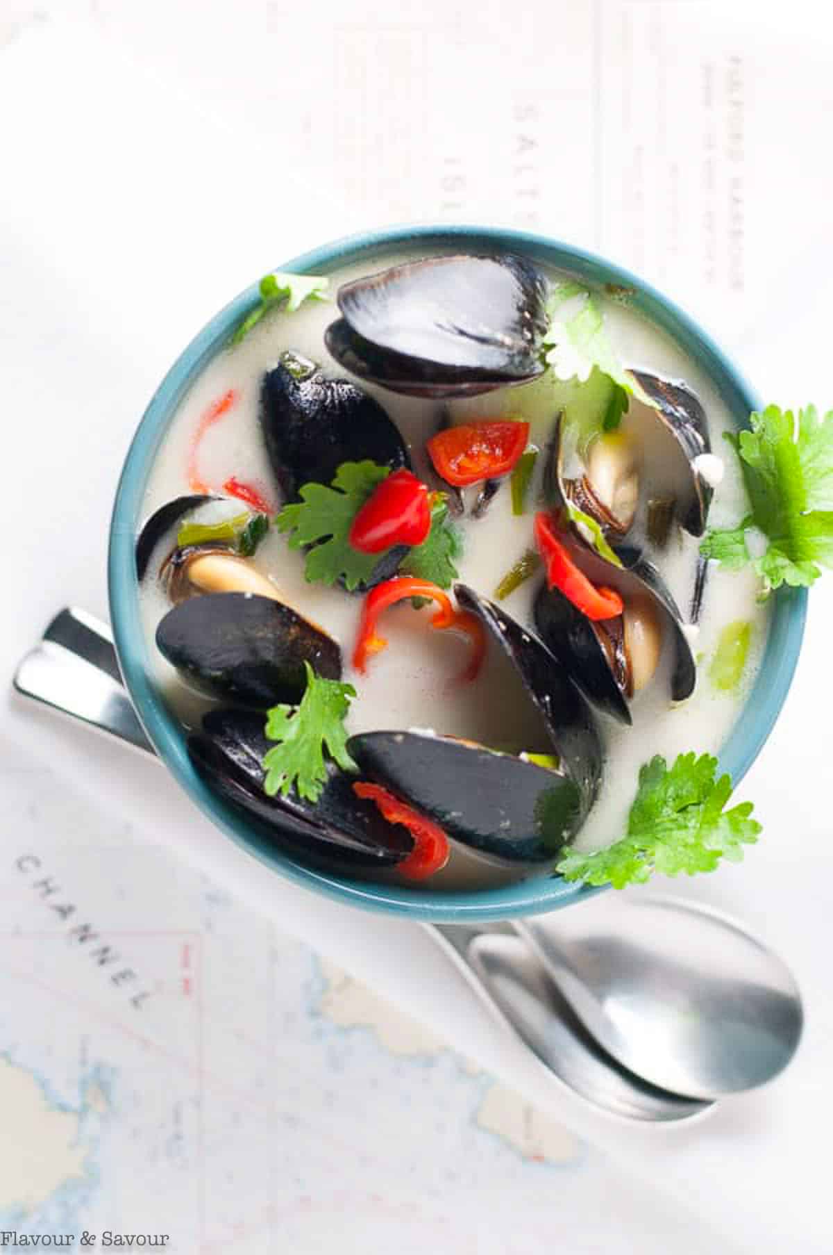 overhead view of a bowl of spicy Thai mussels with red chili peppers and cilantro leaves