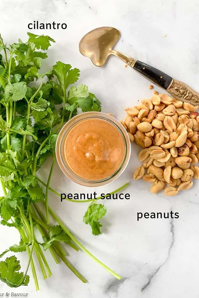 cilantro, peanut sauce and roasted peanuts