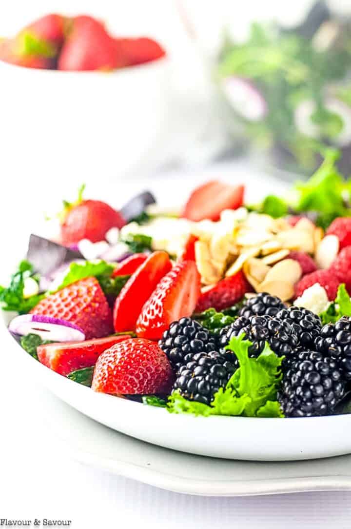 Mixed Green Salad with Berries Flavour and Savour