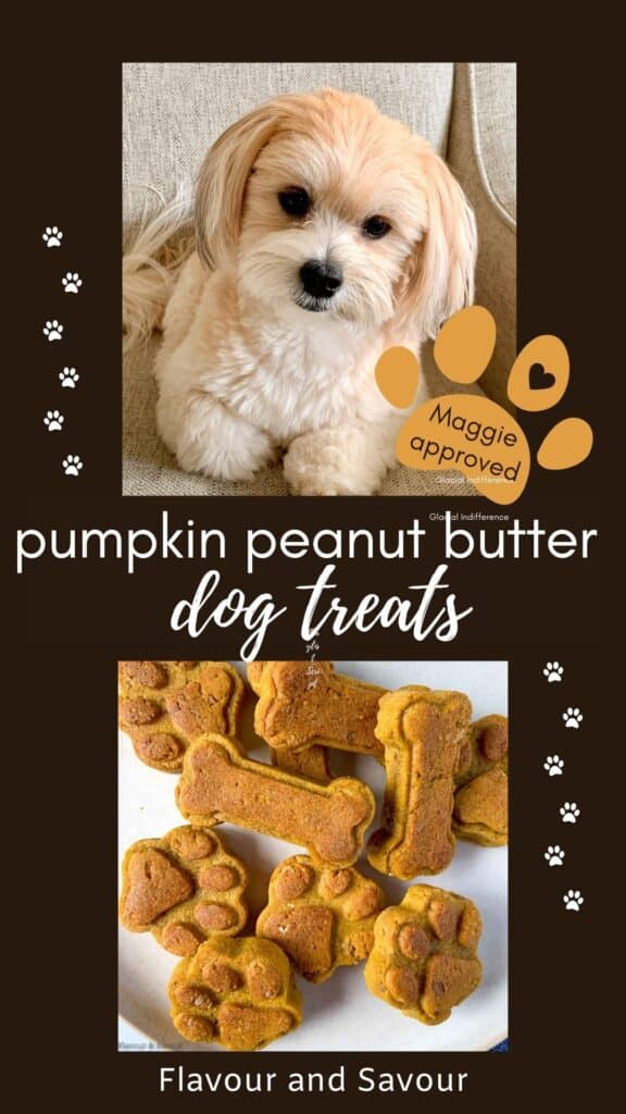 image with text for pumpkin peanut butter dog treats.