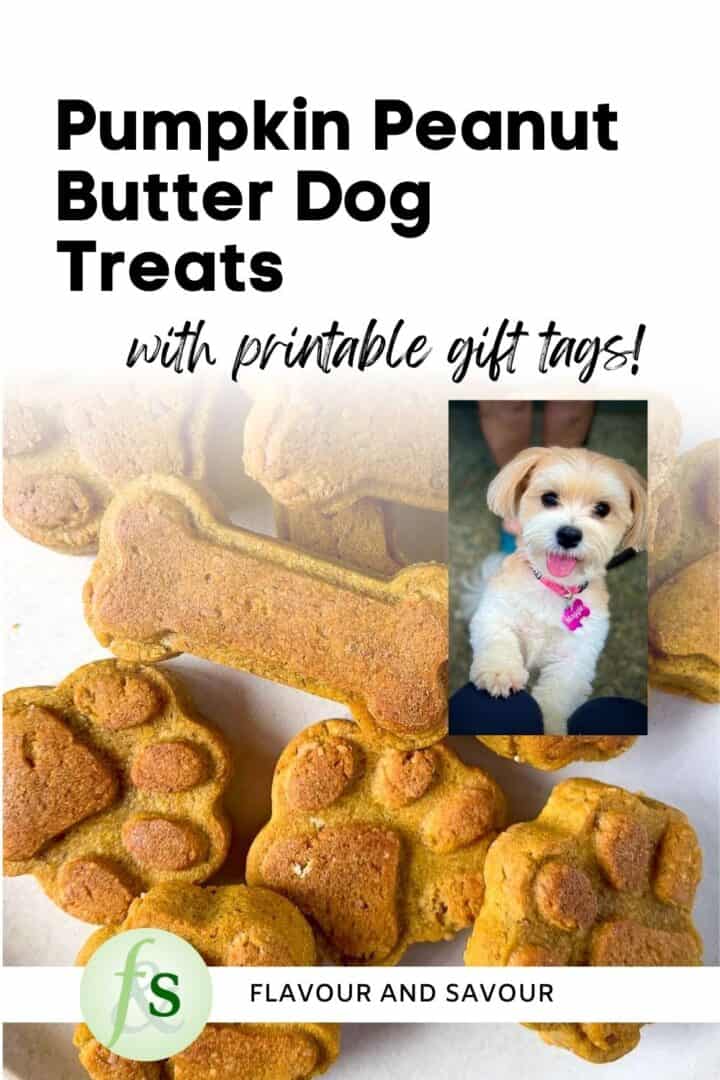 Image with text overlay for pumpkin peanut butter dog treats.