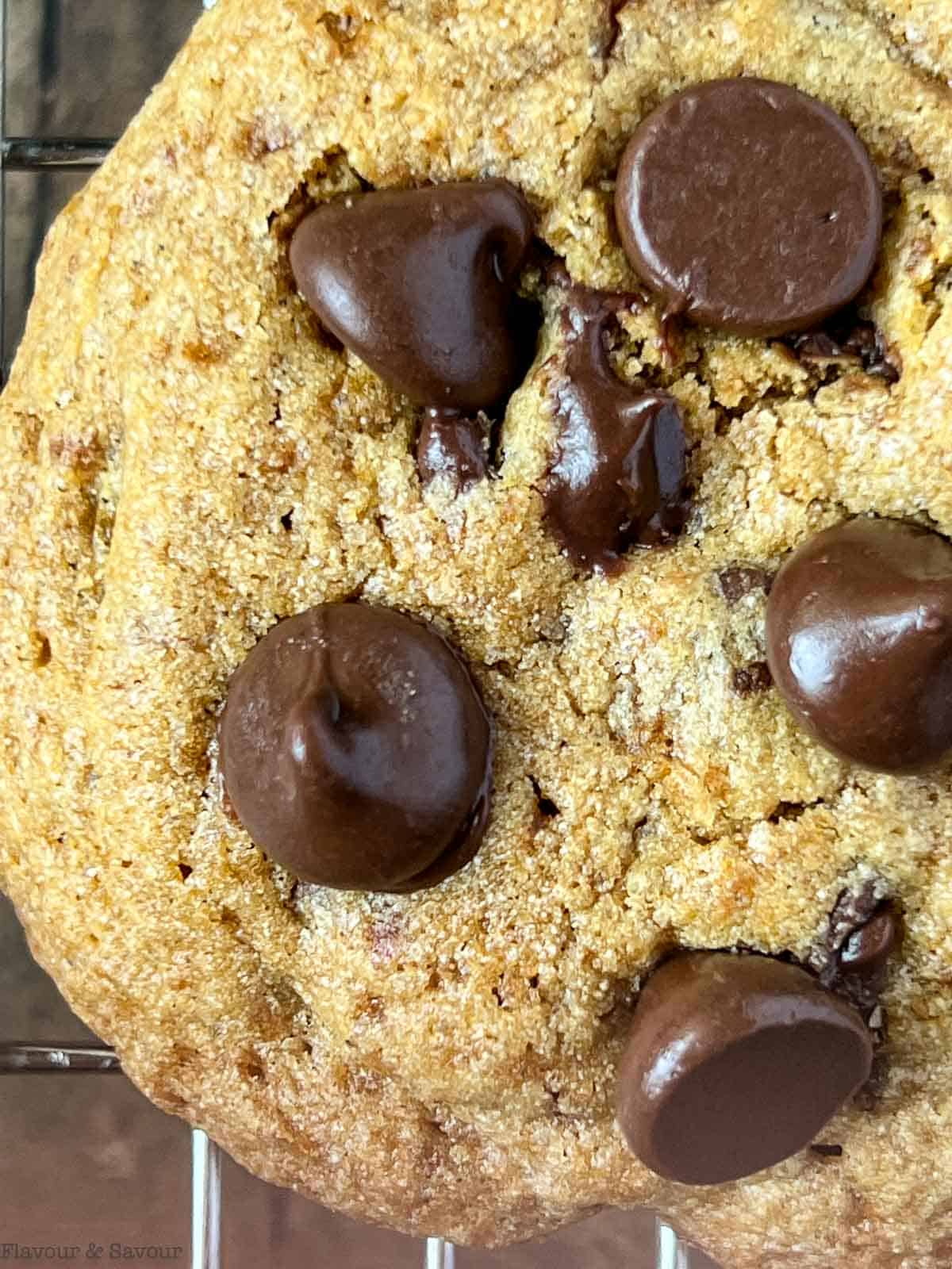 Close up view of a Gluten-free Chewy Chocolate Chip Cookie.