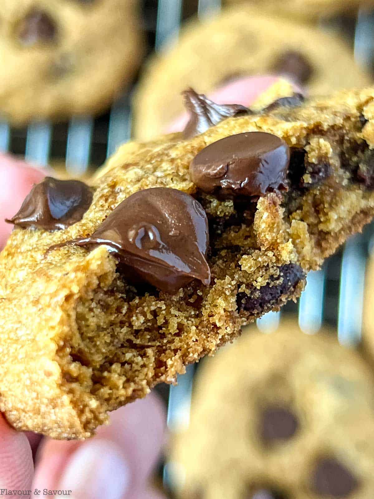 Close up view of the interior of a chocolate chip cookie.