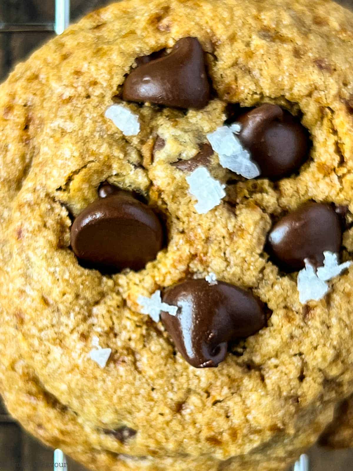 Gluten-free chocolate chip cookies with coarse salt.