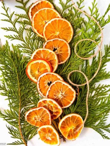 Dried orange slices on cedar boughs with twine.