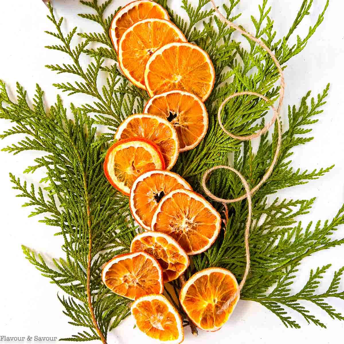 50 Dried Orange Slices For Primitive Farmhouse Decor – Natural Potpourri & Craft Supply