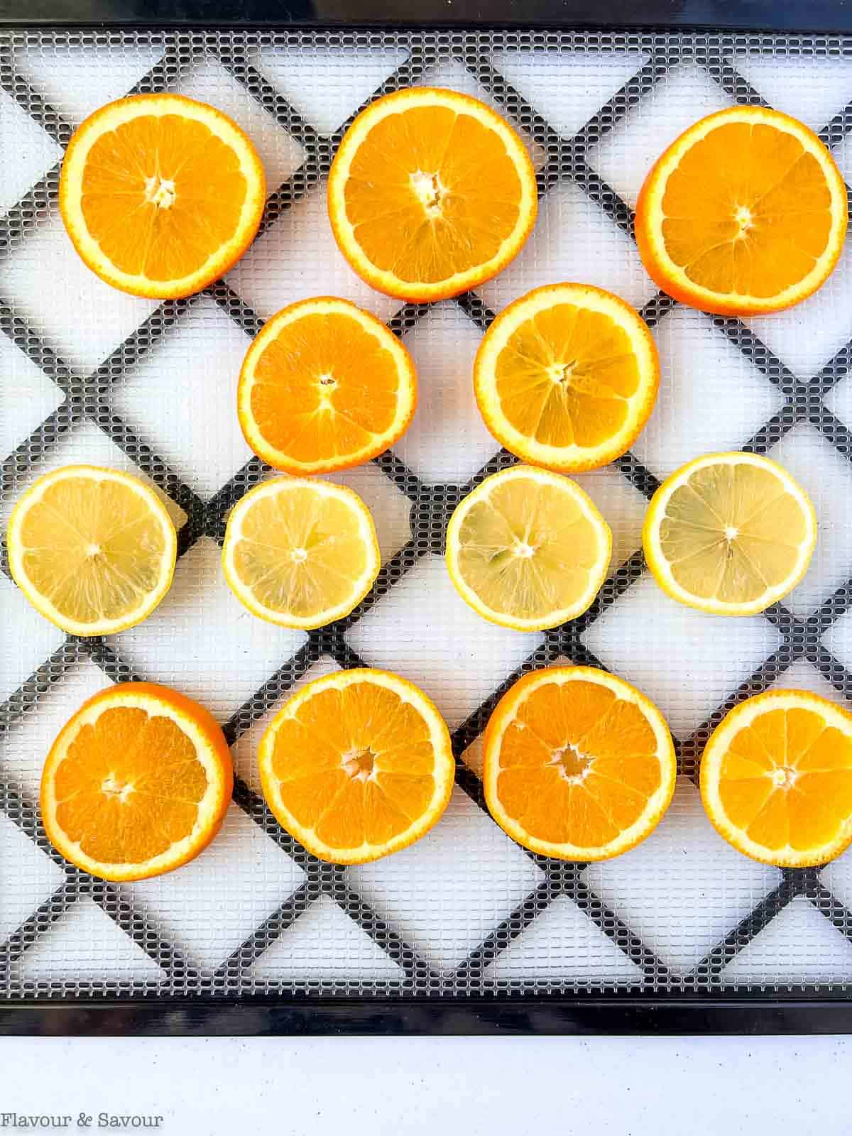 Orange and lemon slices on a dehydrator tray.