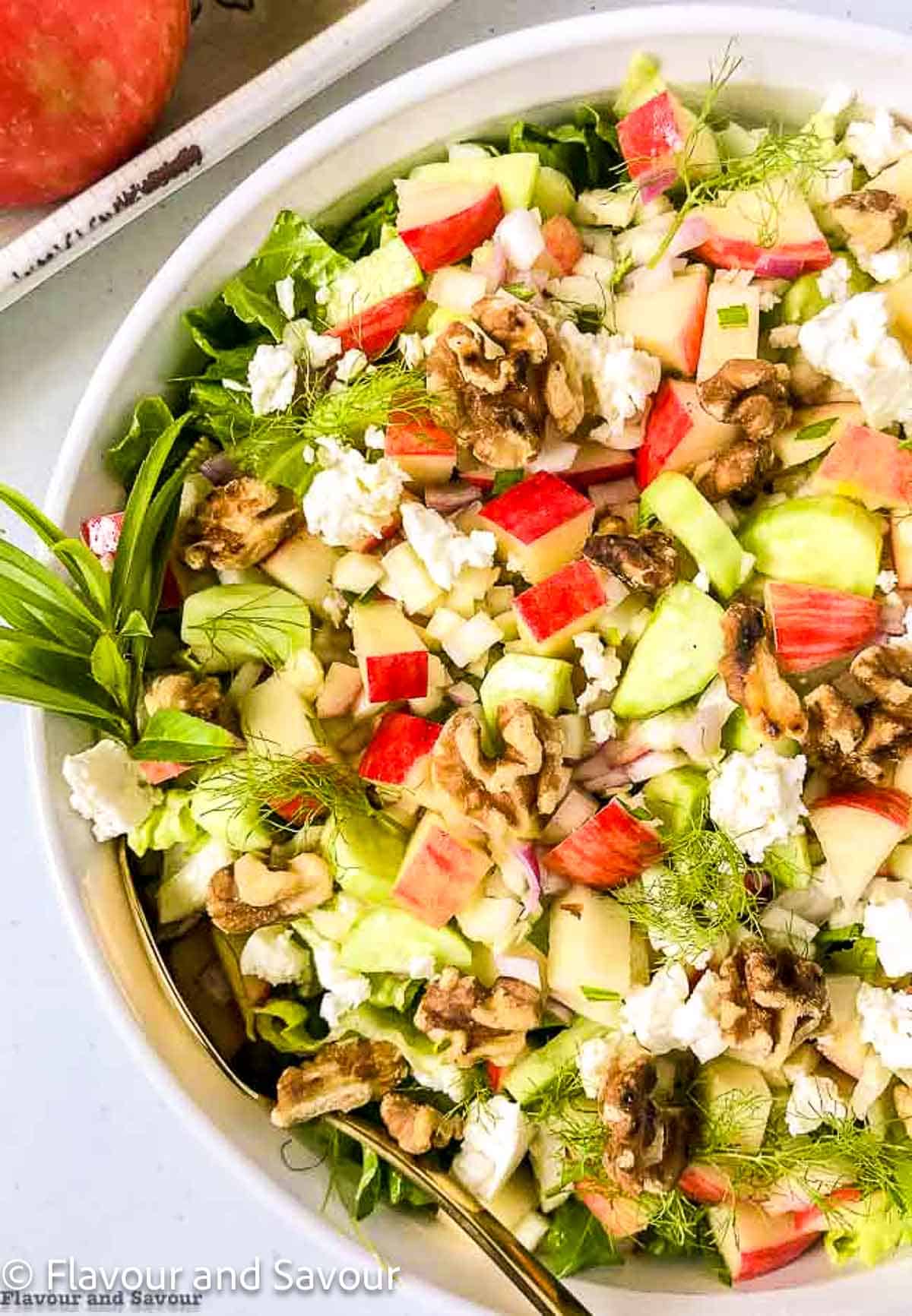 A shallow bowl with a chopped salad of apple, fennel, greens and walnuts.