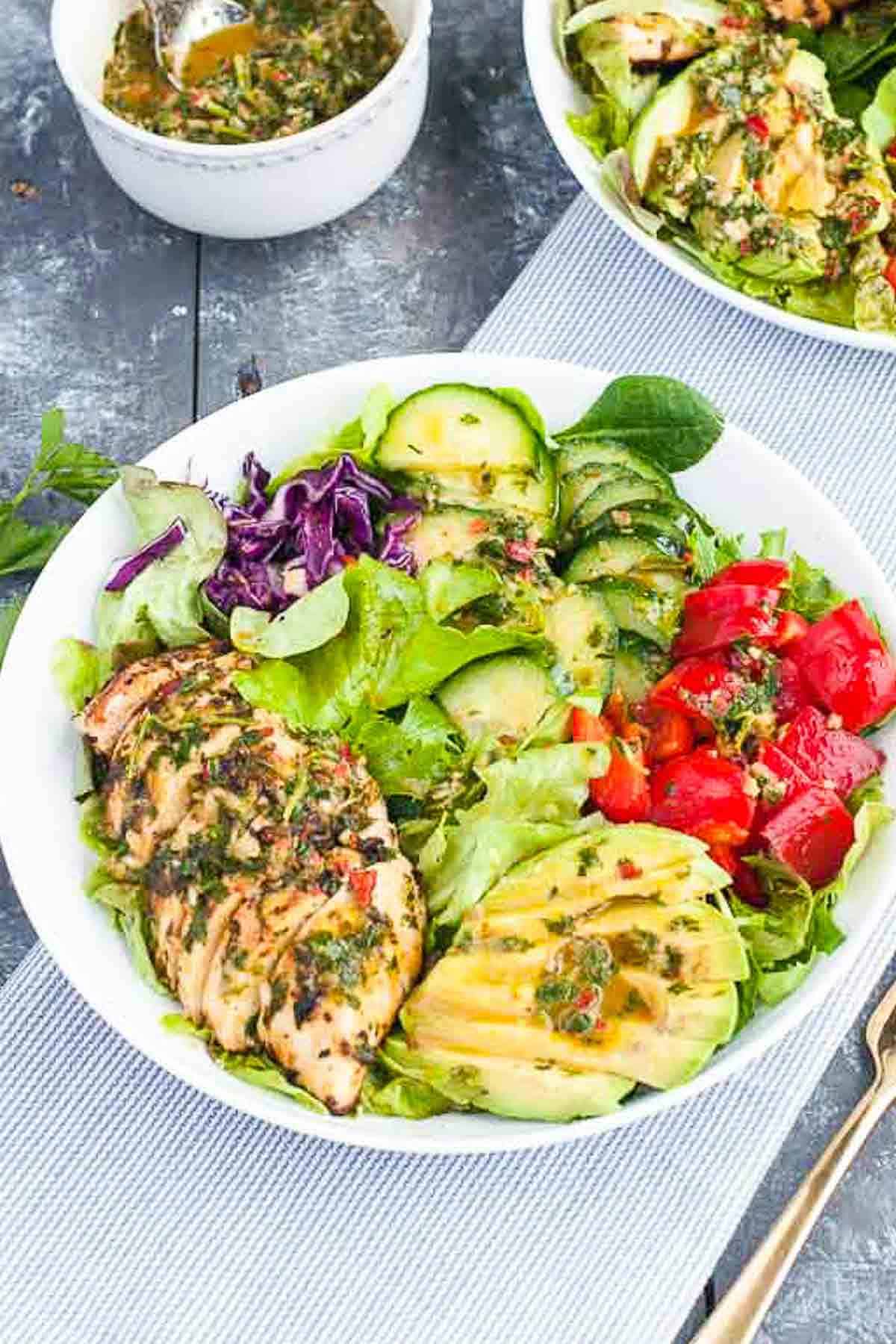 Overhead view of a bowl of chimichurri chicken salad in a bowl.