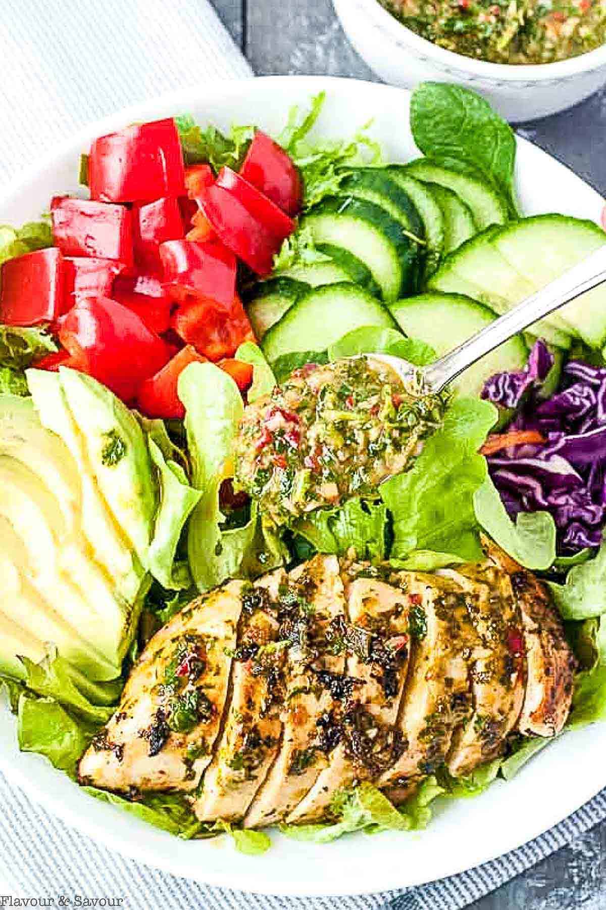 Close up view of chimichurri chicken salad.
