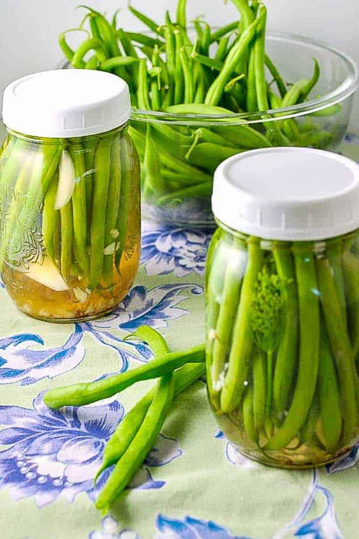 Two jars of refrigerator pickled green beans with a bowl of fresh beans in the background.