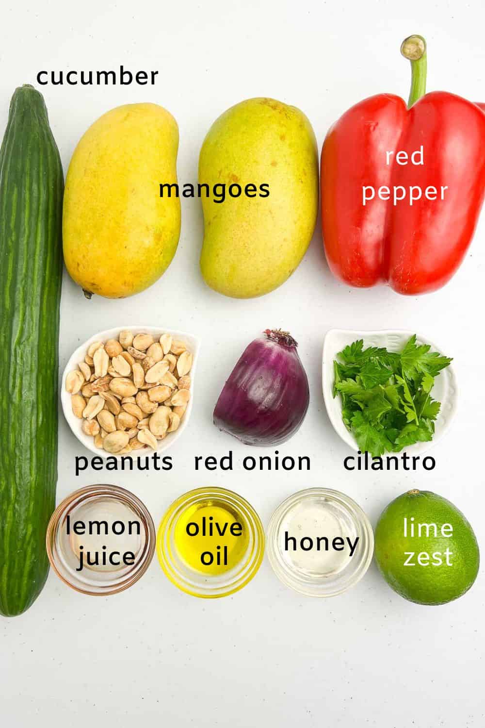 Thai mango salad ingredients with labels.