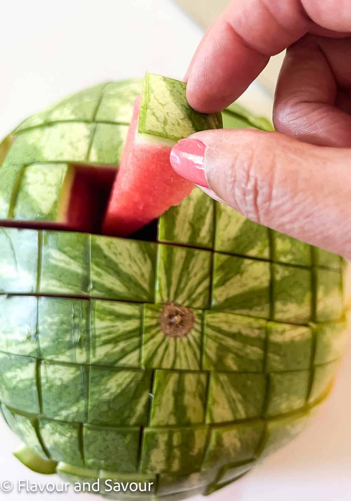 A hand pulling a watermelon spear from a cut watermelon.