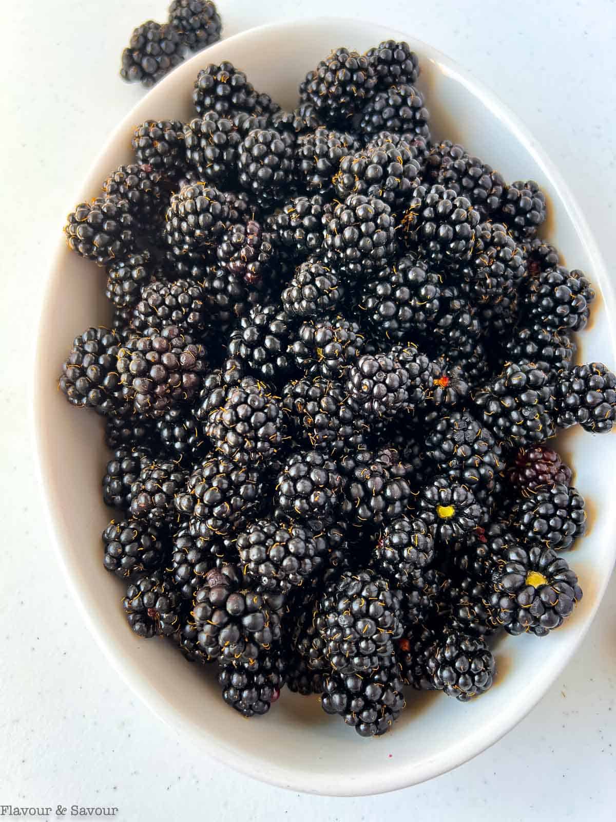 A bowl of fresh blackberries.