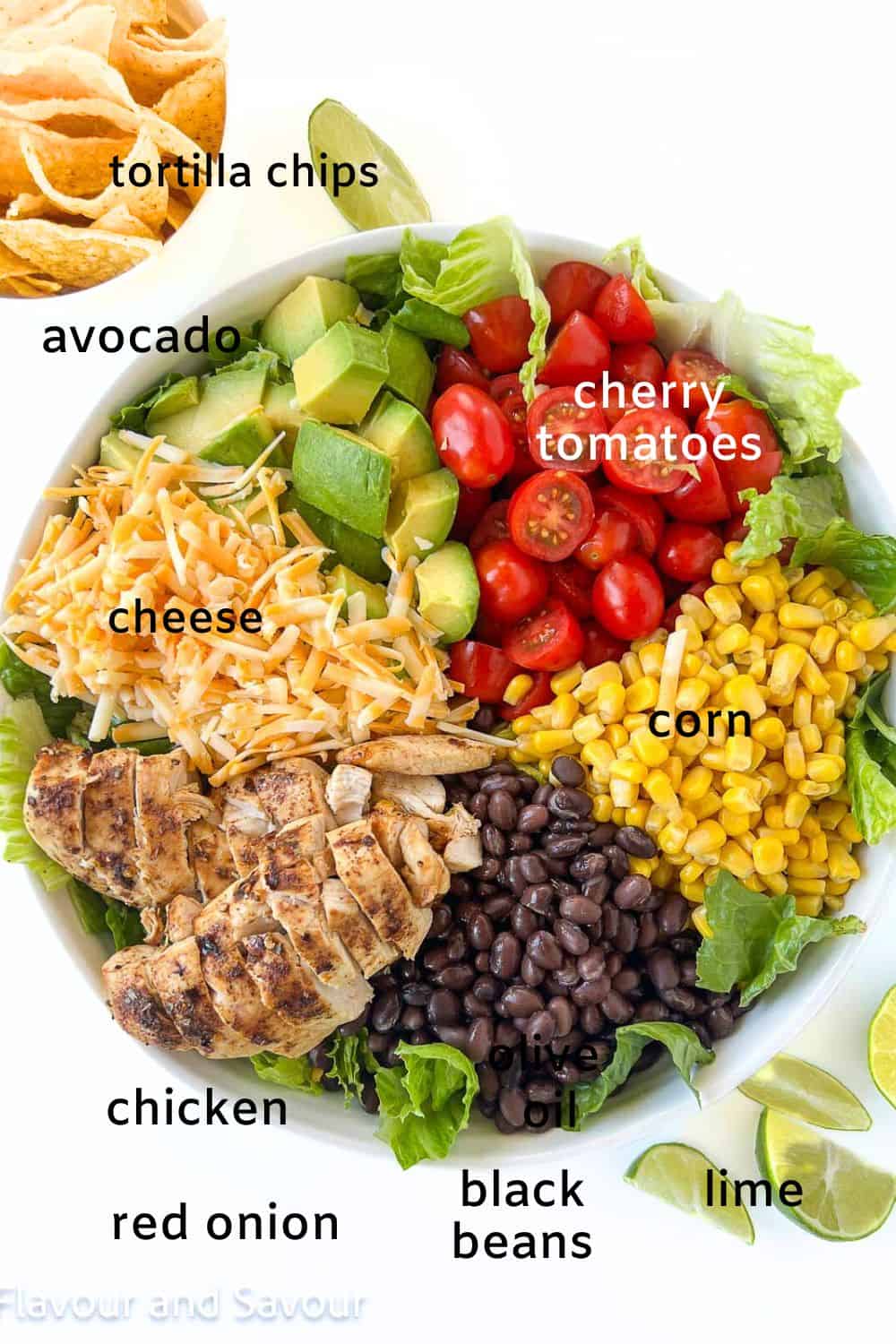 Ingredients for chicken tacos salad arranged in sections on a bed of romaine.