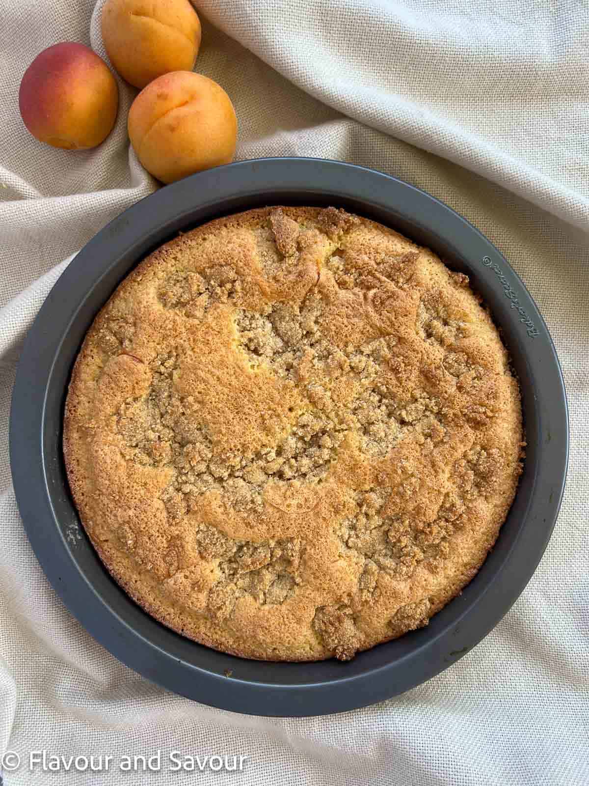 Baked apricot almond flour cake in a cake pan.
