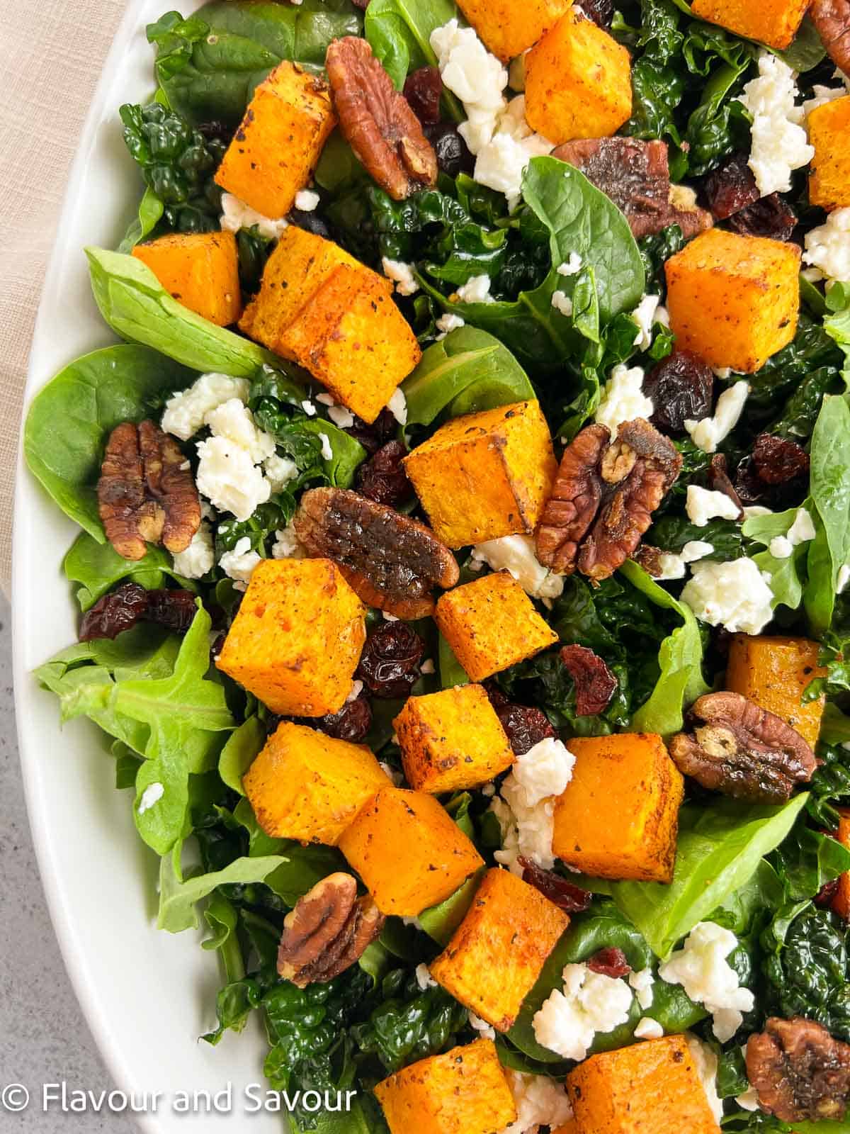 Butternut squash salad showing detail of squash cubes, toasted pecans, cranberries and feta cheese.