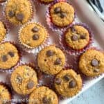 Square image of mini gluten-free pumpkin muffins with chocolate chips.