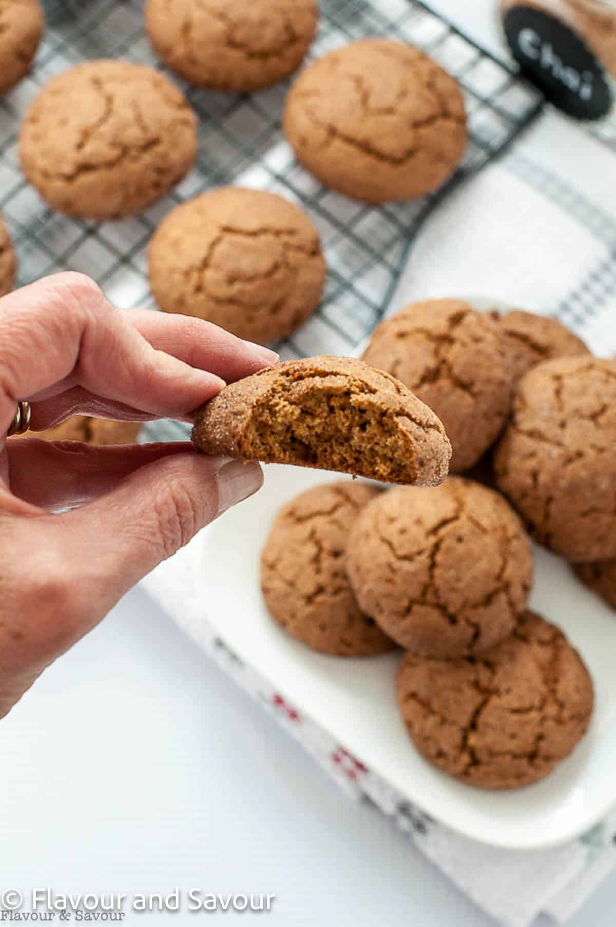 A hand holding a gluten-free snickerdoodle cookie to show the interior of the cookie.